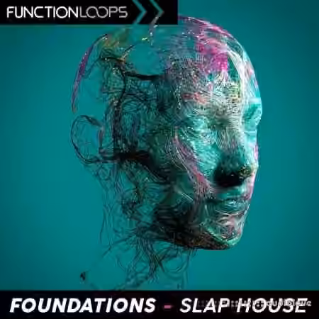 Function Loops Foundations Slap House [WAV]