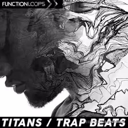 Function Loops Titans - Trap Beats [WAV]