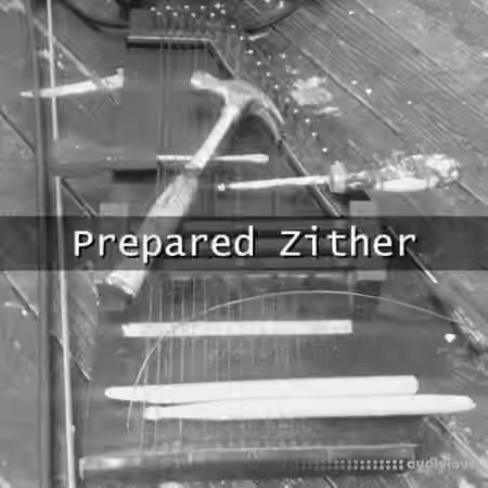 Glitchedtones Prepared Zither [WAV]