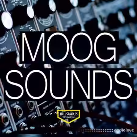 Hall Samples Moog Sounds [WAV]