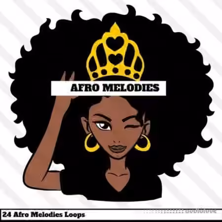 HOOKSHOW Afro Melodies [WAV]