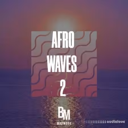 HOOKSHOW Afro Waves 2 [WAV]