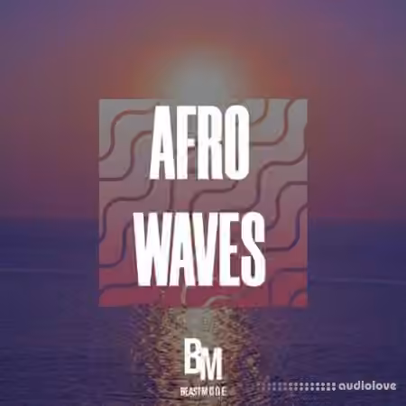 HOOKSHOW Afro Waves [WAV]