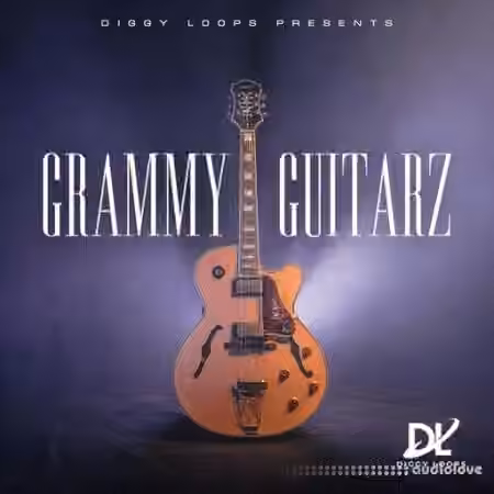 HOOKSHOW GRAMMY GUITARZ [WAV]