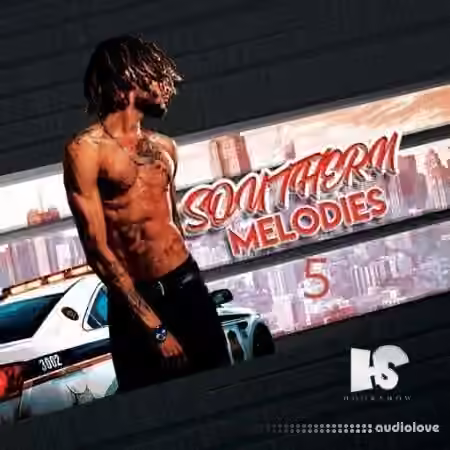HOOKSHOW Southern Melodies 5 [WAV]