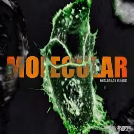 HZE MOLECULAR (ANALOG LAB V BANK) [Synth Presets]