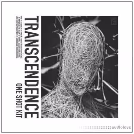 HZE Transcendence (One Shot Kit) [WAV]