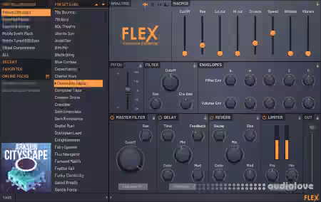 Image-Line FLEX Expansion Bundle v12.2022 UNLOCKED FLEXPACK [WiN]
