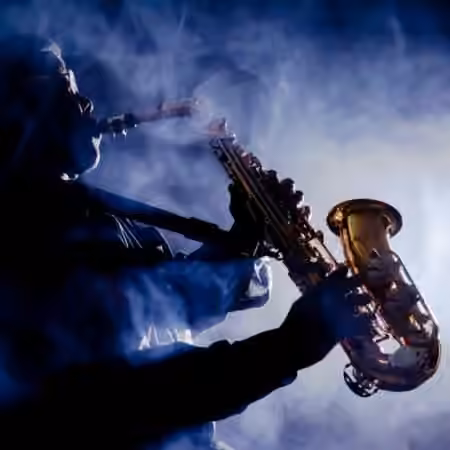 Imaginando FRMS Sounds Of Saxophone [Synth Presets]