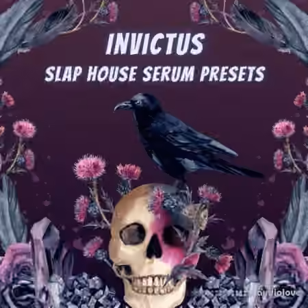 Infinity Audio Invictus Slap House [Synth Presets]