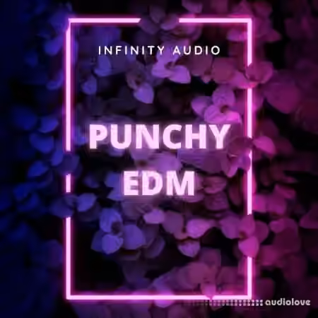 Infinity Audio Punchy EDM [WAV, MiDi]