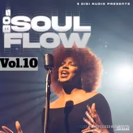 Innovative Samples 80's Soul Flow Vol.10 [WAV]