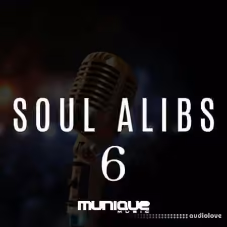 Innovative Samples SOUL ALIB 6 [WAV]