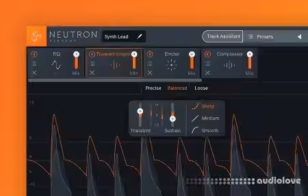 iZotope Neutron Pro v3.7.0 [WiN]