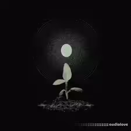 Jonnywood Earth (Multikit) [WAV]