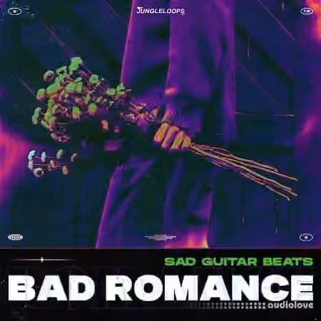 Jungle Loops Bad Romance - Sad Guitar Beats [WAV, MiDi]
