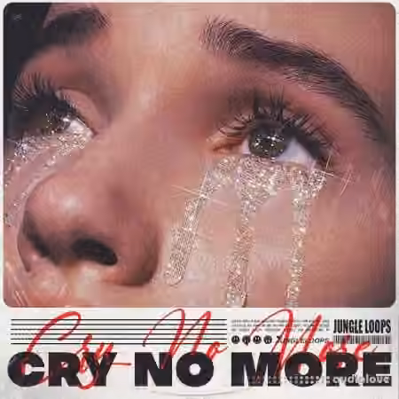 Jungle Loops Cry no more [WAV, MiDi]