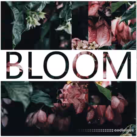 Lamprey Lamprey Bloom Lush Synth Arp [KONTAKT]