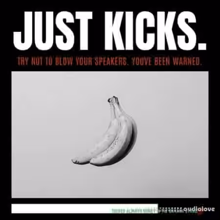 Lazerdisk Just Kicks [WAV]
