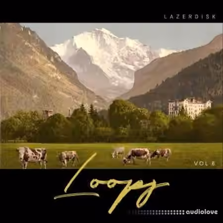 Lazerdisk Loops Vol.8 [WAV]