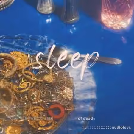 Lazerdisk Sleep [WAV]