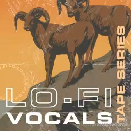 Lazerdisk Tape Series Lo-Fi Vocals [WAV]