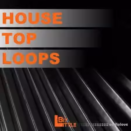 Little Bit House Top Loops [WAV]