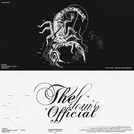 Llouis Official Drum Kit Vol.3 [WAV]