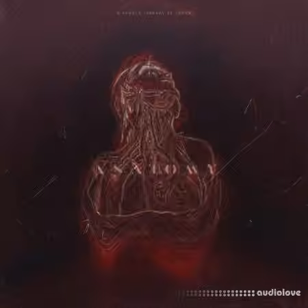 Loner Anatomy Sample Library [WAV]