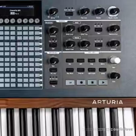 Looma Arturia Polybrute Oneshot Sample Pack [WAV]