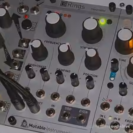 Looma Mutable Instruments Rings Oneshot Sample Pack [WAV]
