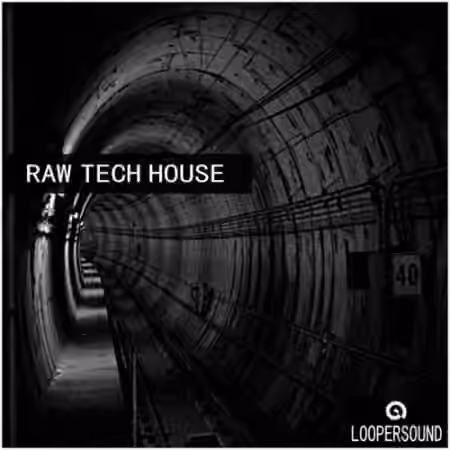 Loopersound Raw Tech House [WAV]