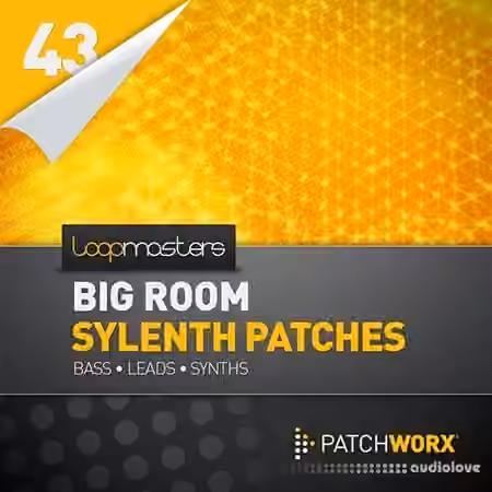 Loopmasters Patchworx 43 Big Room House Sylenth Presets [MiDi]