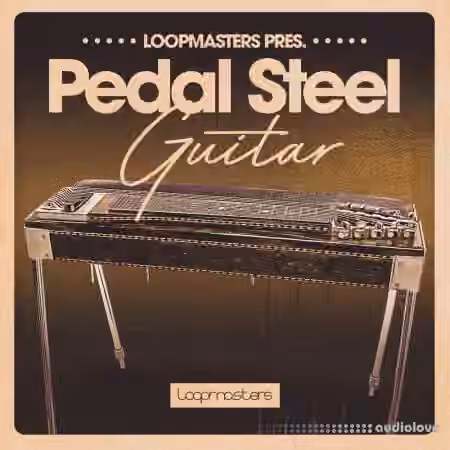Loopmasters Pedal Steel Guitar [MULTiFORMAT]