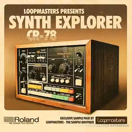 Loopmasters Synth Explorer CR-78 [MULTiFORMAT]