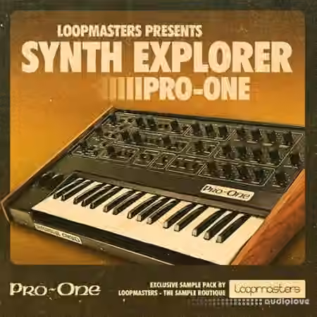 Loopmasters Synth Explorer Pro One [MULTiFORMAT]