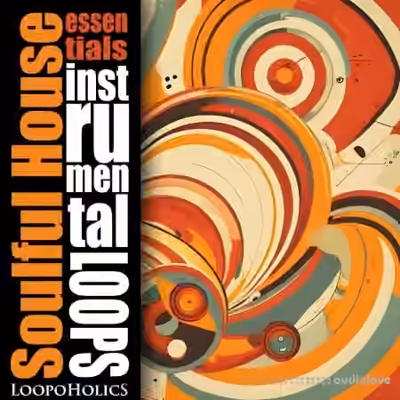 Loopoholics Soulful House Essentials: Loops [WAV]