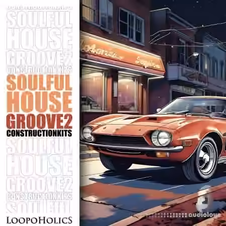 Loopoholics Soulful House Groove 2 Construction Kits [WAV]
