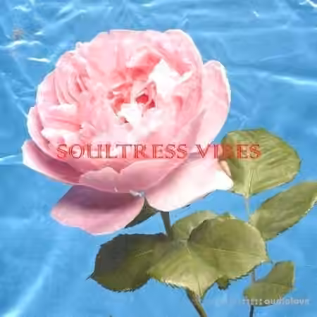 Loops 4 Producers Soultress [WAV]
