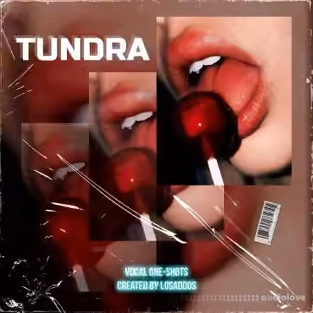Losaddos TUNDRA Vocal One-Shots [WAV]
