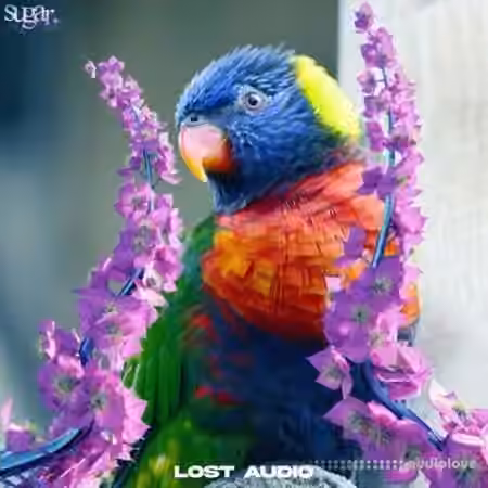Lost Audio Sugar Sample Collection [WAV, MiDi]
