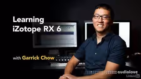 Lynda Learning iZotope RX 6 [TUTORiAL]