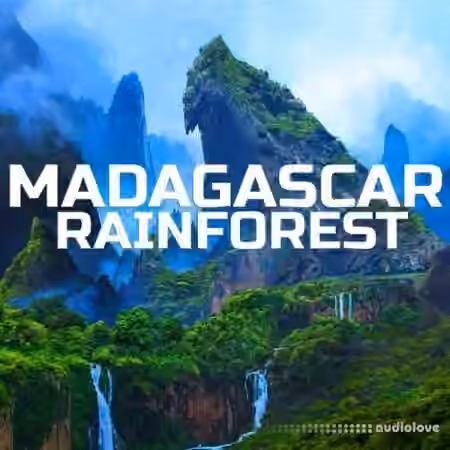 Madagascar Soundscapes Madagascar Rainforest [FLAC]