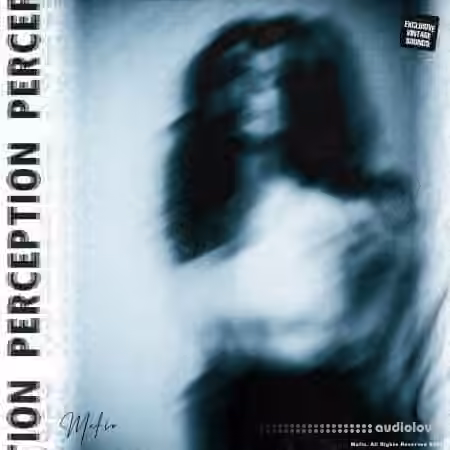 Mafio Perception Bundle Sample Pack + One Shot Kit + Mixing Chains [WAV, Synth Presets]