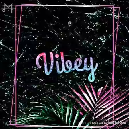 Major Loops Vibey [WAV]