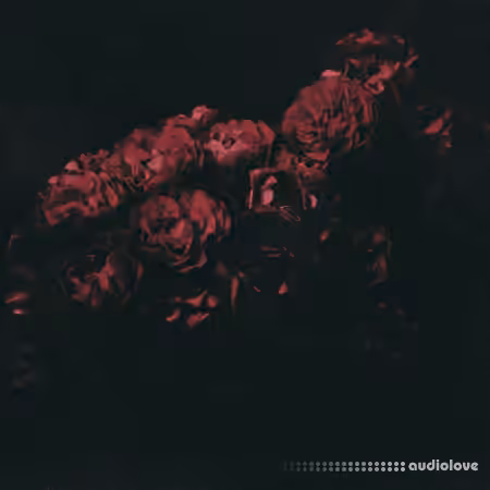 Manu, Armada Sample Pack Vol.2 [WAV]