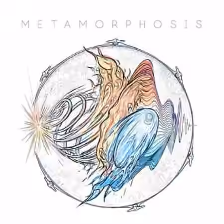 Mattia Cellotto Metamorphosis [WAV]