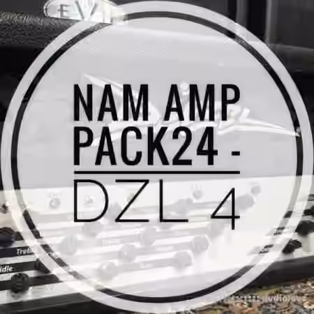 mirrorprofiles NAM A2 Amp Pack 24 DZL 4