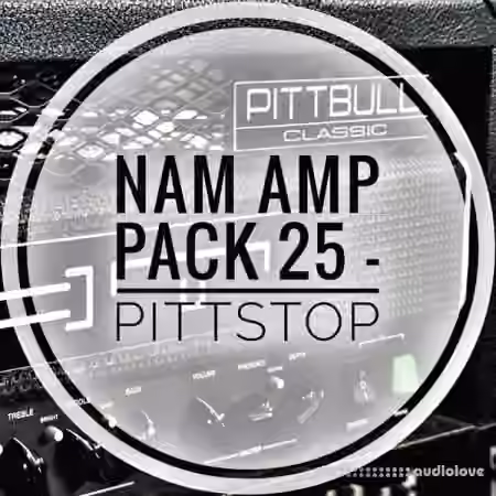 mirrorprofiles NAM A2 Amp Pack 25 PITTSTOP