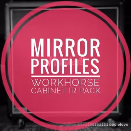 MirrorProfiles WORKHORSE CABINET IR PACK